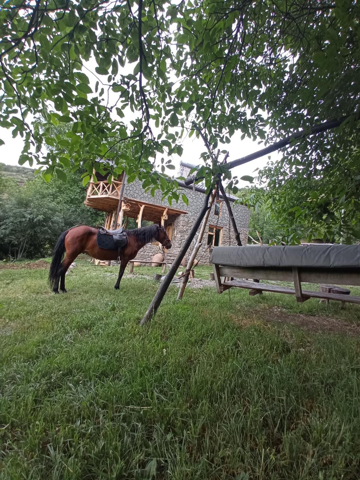 Hors'S Home Dış mekan fotoğraf
