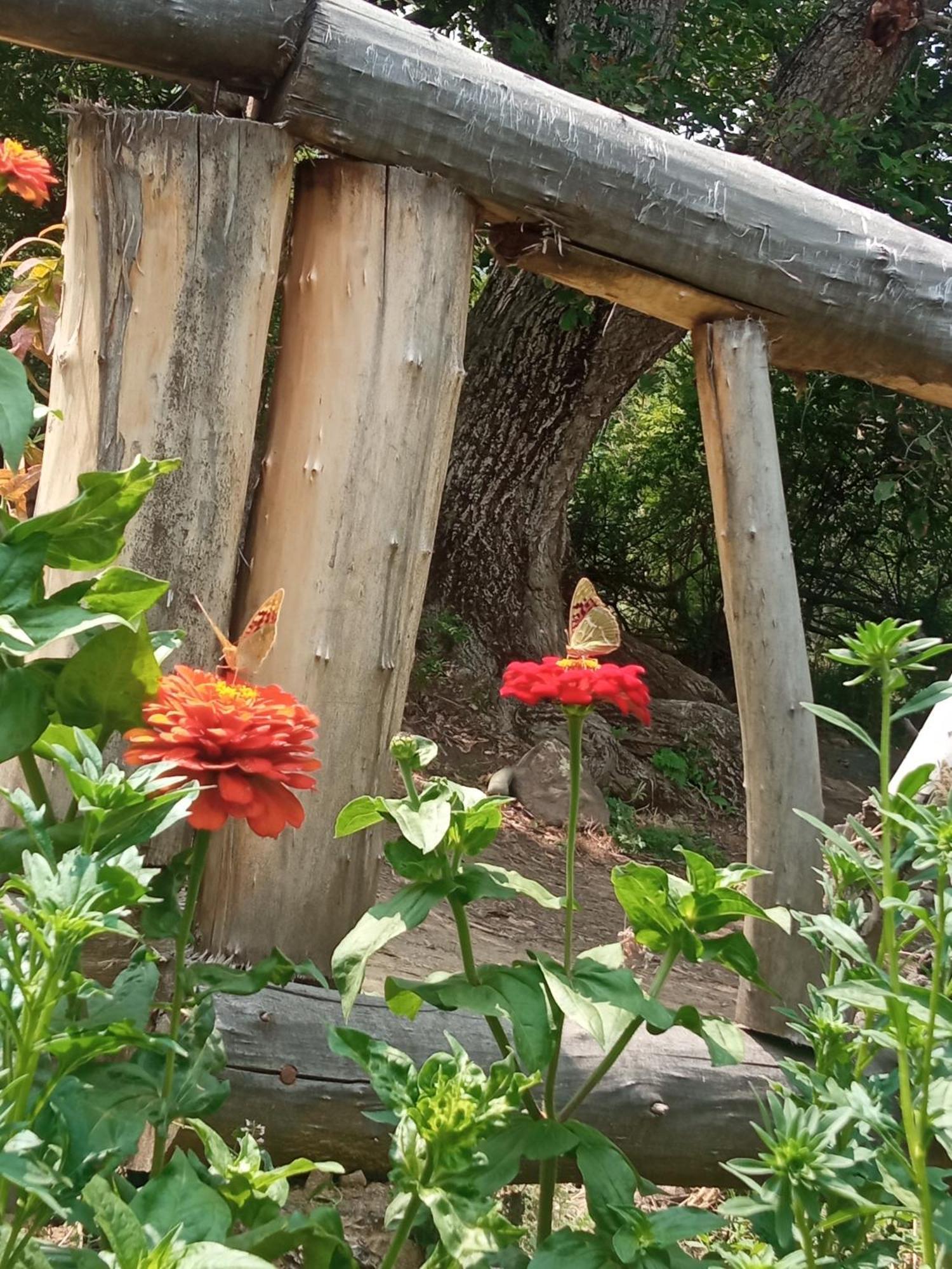 Hors'S Home Dış mekan fotoğraf