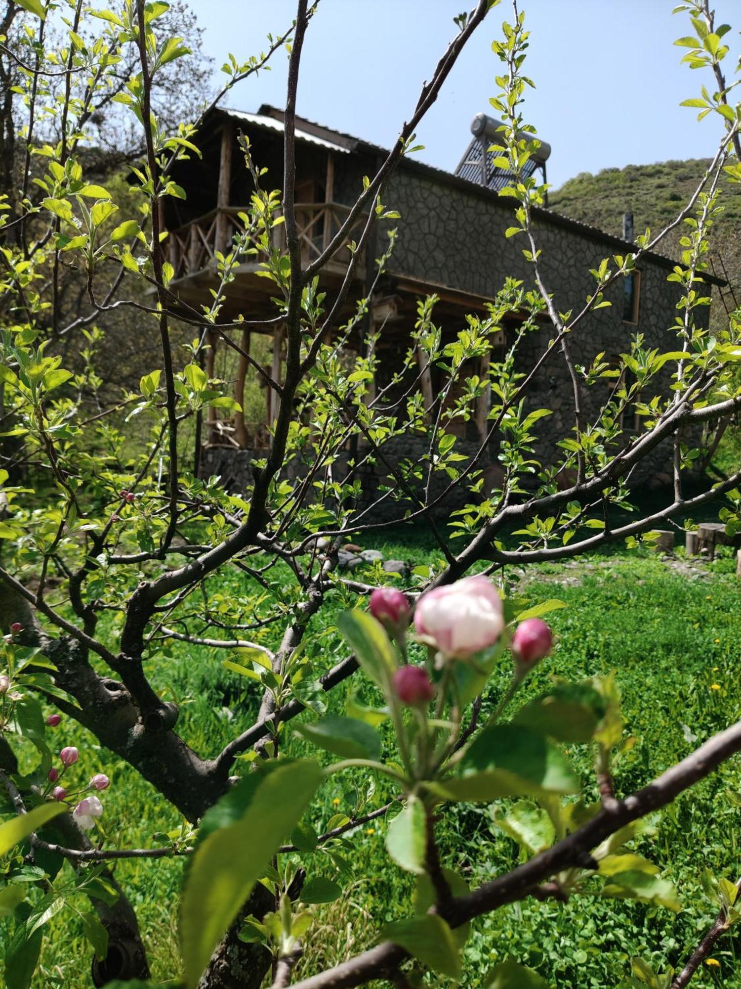 Hors'S Home Dış mekan fotoğraf